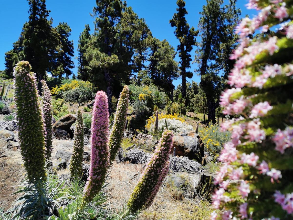 La Terraza De Juana Villa Santa Cruz de la Palma  Luaran gambar